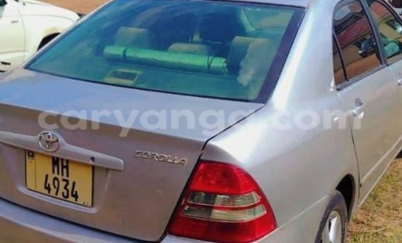 Buy Used Toyota Corolla Other Car in Chitipa in Chitipa Buy Used Toyota Corolla Other Car in Chitipa in Chitipa