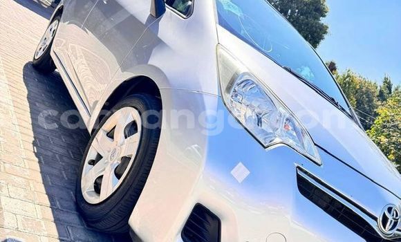 Buy Used Toyota Ractis Other Car in Chiradzulu in Chiradzulu Buy Used Toyota Ractis Other Car in Chiradzulu in Chiradzulu