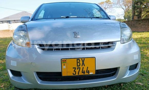 Buy Used Toyota Passo Other Car in Chikwawa in Chikwawa Buy Used Toyota Passo Other Car in Chikwawa in Chikwawa