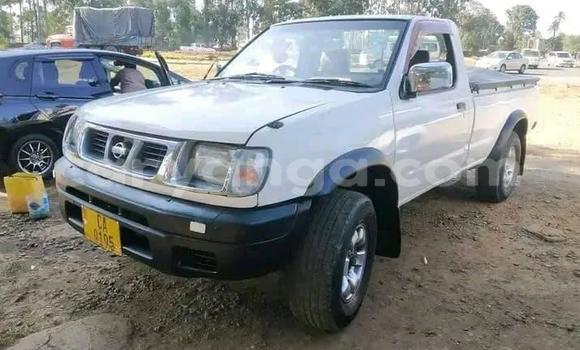 Nunua Ilio tumika Nissan Hardbody White Gari ndani ya Chipoka nchini Dedza Nunua Ilio tumika Nissan Hardbody White Gari ndani ya Chipoka nchini Dedza