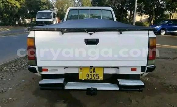 Nunua Ilio tumika Nissan Hardbody White Gari ndani ya Chipoka nchini Dedza Nunua Ilio tumika Nissan Hardbody White Gari ndani ya Chipoka nchini Dedza