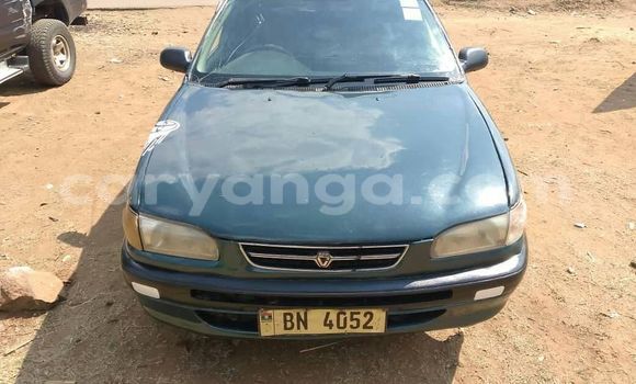 Buy Used Toyota Corolla Black Car in Chipoka in Dedza Buy Used Toyota Corolla Black Car in Chipoka in Dedza