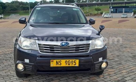 Buy Used Subaru Forester Other Car in Blantyre in Malawi