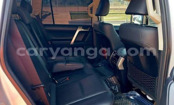 Buy Used Toyota Land Cruiser Prado Other Car in Blantyre in Malawi Buy Used Toyota Land Cruiser Prado Other Car in Blantyre in Malawi