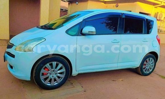 Buy Used Toyota Ractis Other Car in Blantyre in Malawi Buy Used Toyota Ractis Other Car in Blantyre in Malawi