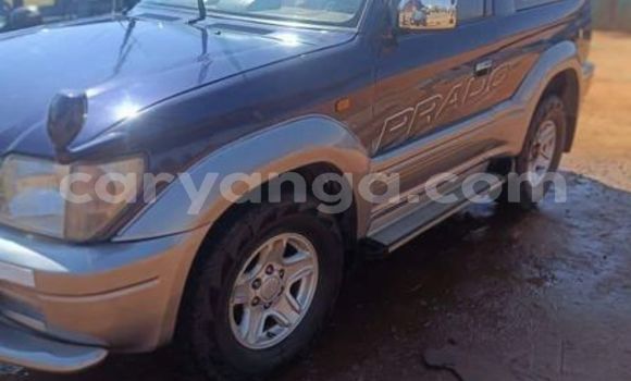 Buy Used Toyota Prado Other Car in Blantyre in Malawi Buy Used Toyota Prado Other Car in Blantyre in Malawi