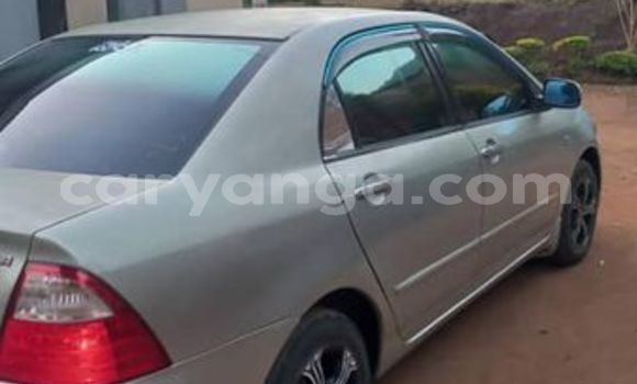 Acheter Occasion Voiture Toyota Corolla Autre à Blantyre, Malawi Acheter Occasion Voiture Toyota Corolla Autre à Blantyre, Malawi