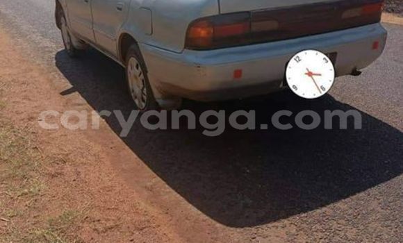 Buy Used Toyota 4Runner Other Car in Blantyre in Malawi Buy Used Toyota 4Runner Other Car in Blantyre in Malawi