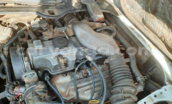 Buy Used Alfa Romeo 146 Other Car in Blantyre in Malawi Buy Used Alfa Romeo 146 Other Car in Blantyre in Malawi