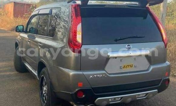Buy Used Nissan X–Trail Other Car in Blantyre in Malawi Buy Used Nissan X–Trail Other Car in Blantyre in Malawi