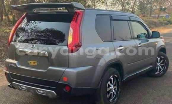 Buy Used Nissan X–Trail Other Car in Blantyre in Malawi Buy Used Nissan X–Trail Other Car in Blantyre in Malawi