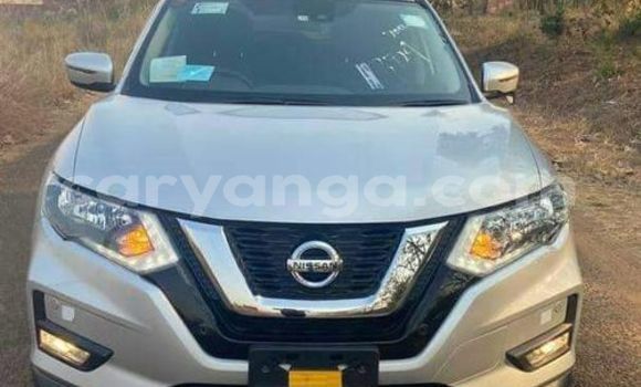 Buy Used Nissan X–Trail Other Car in Blantyre in Malawi Buy Used Nissan X–Trail Other Car in Blantyre in Malawi