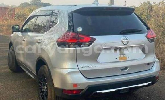 Buy Used Nissan X–Trail Other Car in Blantyre in Malawi Buy Used Nissan X–Trail Other Car in Blantyre in Malawi