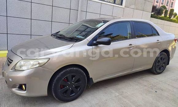 Nunua Ilio tumika Toyota Corolla Other Gari ndani ya Blantyre nchini Malawi Nunua Ilio tumika Toyota Corolla Other Gari ndani ya Blantyre nchini Malawi