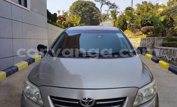 Nunua Ilio tumika Toyota Corolla Other Gari ndani ya Blantyre nchini Malawi Nunua Ilio tumika Toyota Corolla Other Gari ndani ya Blantyre nchini Malawi