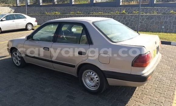 Nunua Ilio tumika Toyota Corolla Other Gari ndani ya Blantyre nchini Malawi Nunua Ilio tumika Toyota Corolla Other Gari ndani ya Blantyre nchini Malawi