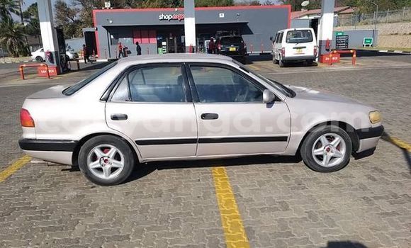 Nunua Ilio tumika Toyota Corolla Other Gari ndani ya Blantyre nchini Malawi Nunua Ilio tumika Toyota Corolla Other Gari ndani ya Blantyre nchini Malawi