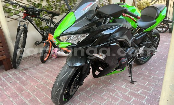 Buy Used Kawasaki Ninja Green Bike in Blantyre in Malawi Buy Used Kawasaki Ninja Green Bike in Blantyre in Malawi