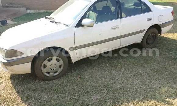 Buy Used Toyota Carina White Car in Chitipa in Chitipa Buy Used Toyota Carina White Car in Chitipa in Chitipa