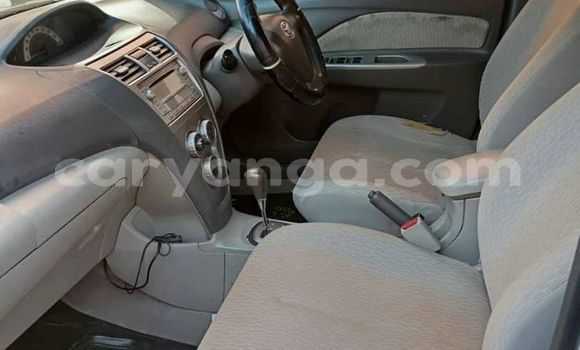 Nunua Ilio tumika Toyota Belta Other Gari ndani ya Chitipa nchini Chitipa Nunua Ilio tumika Toyota Belta Other Gari ndani ya Chitipa nchini Chitipa