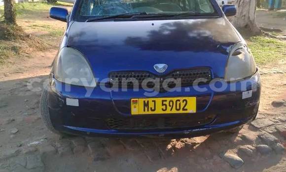 Acheter Occasion Voiture Toyota Vitz Bleu à Chiradzulu, Chiradzulu Acheter Occasion Voiture Toyota Vitz Bleu à Chiradzulu, Chiradzulu