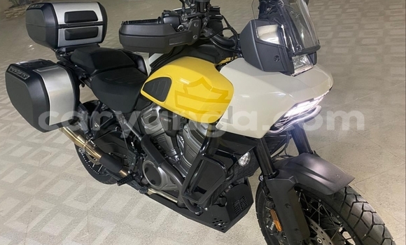 Buy Used Harley Davidson Dyna Other Bike in Blantyre in Malawi