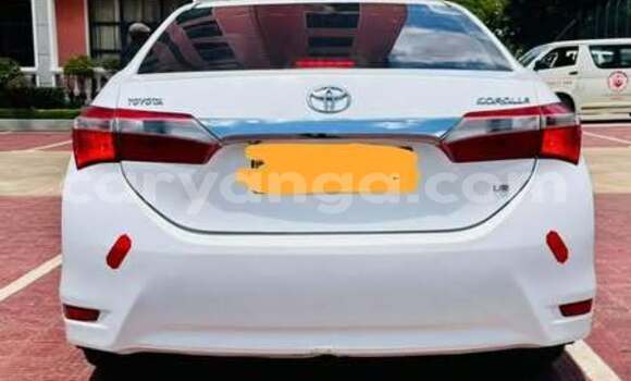 Buy Used Toyota Corolla Other Car in Blantyre in Malawi Buy Used Toyota Corolla Other Car in Blantyre in Malawi