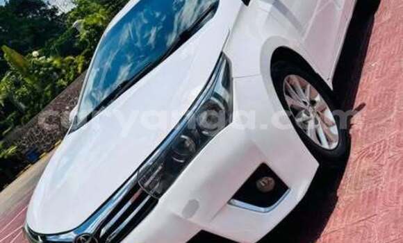 Buy Used Toyota Corolla Other Car in Blantyre in Malawi Buy Used Toyota Corolla Other Car in Blantyre in Malawi