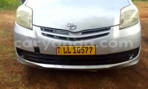 Buy Used Toyota Passo Other Car in Blantyre in Malawi Buy Used Toyota Passo Other Car in Blantyre in Malawi