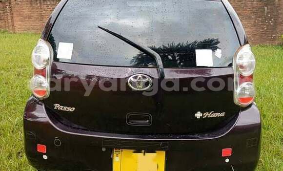 Buy Used Toyota Passo Other Car in Blantyre in Malawi Buy Used Toyota Passo Other Car in Blantyre in Malawi