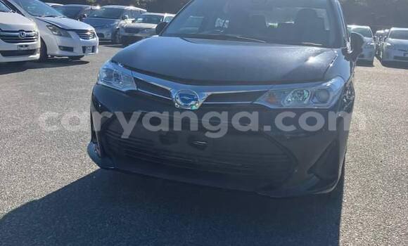 Nunua Ilio tumika Toyota Corolla Black Gari ndani ya Chipoka nchini Dedza Nunua Ilio tumika Toyota Corolla Black Gari ndani ya Chipoka nchini Dedza