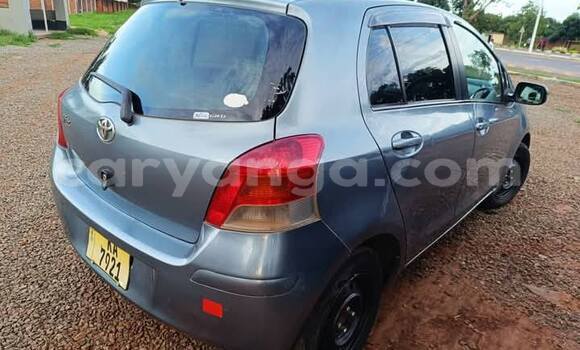 Buy Used Toyota Vitz Blue Car in Chitipa in Chitipa Buy Used Toyota Vitz Blue Car in Chitipa in Chitipa