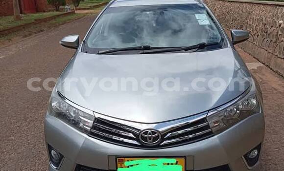 Buy Used Toyota Corolla Other Car in Chipoka in Dedza Buy Used Toyota Corolla Other Car in Chipoka in Dedza