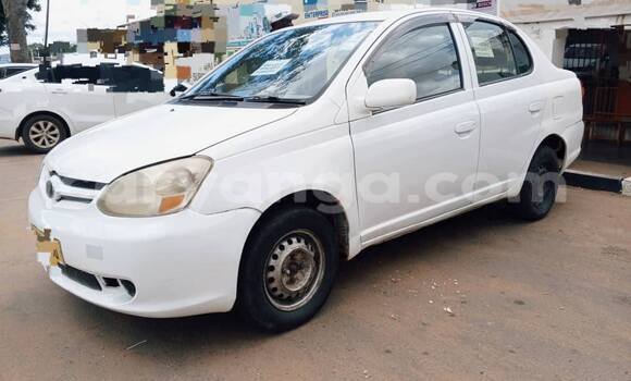 Buy Used Toyota Platz White Car in Chilumba in Karonga