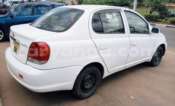 Buy Used Toyota Platz White Car in Chilumba in Karonga Buy Used Toyota Platz White Car in Chilumba in Karonga