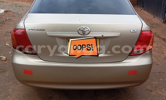 Buy Used Toyota Axio Beige Car in Blantyre in Malawi Buy Used Toyota Axio Beige Car in Blantyre in Malawi