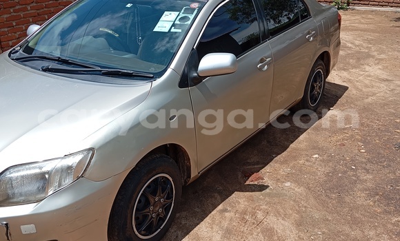 Buy Used Toyota Axio Beige Car in Blantyre in Malawi Buy Used Toyota Axio Beige Car in Blantyre in Malawi