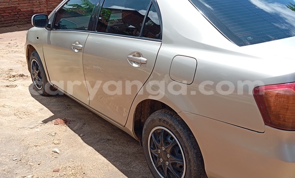 Buy Used Toyota Axio Beige Car in Blantyre in Malawi Buy Used Toyota Axio Beige Car in Blantyre in Malawi