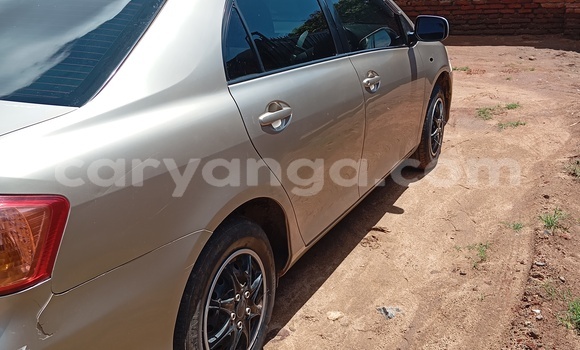Buy Used Toyota Axio Beige Car in Blantyre in Malawi Buy Used Toyota Axio Beige Car in Blantyre in Malawi