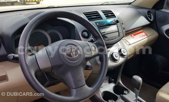 Buy Import Toyota RAV4 Other Car in Import - Dubai in Malawi Buy Import Toyota RAV4 Other Car in Import - Dubai in Malawi