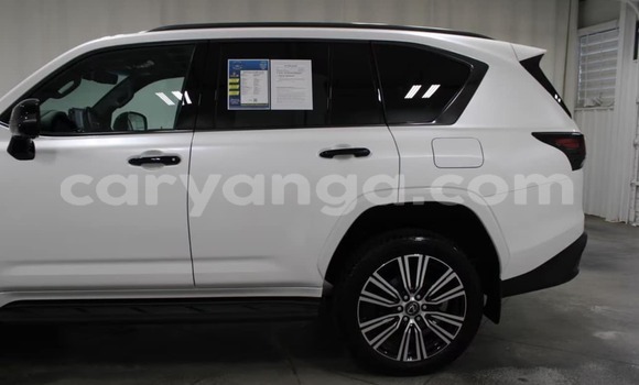 Buy Used Lexus LX White Car in Karonga in Malawi Buy Used Lexus LX White Car in Karonga in Malawi