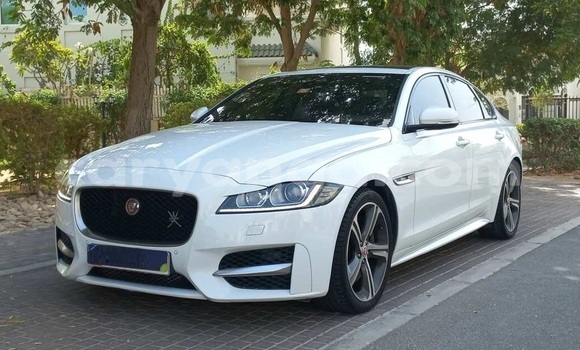 Buy Used Jaguar XF White Car in Lilongwe in Malawi