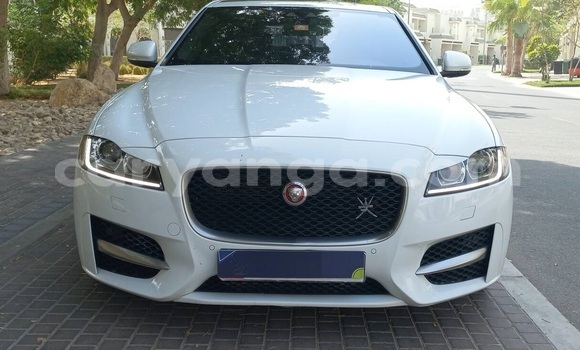Buy Used Jaguar XF White Car in Lilongwe in Malawi Buy Used Jaguar XF White Car in Lilongwe in Malawi