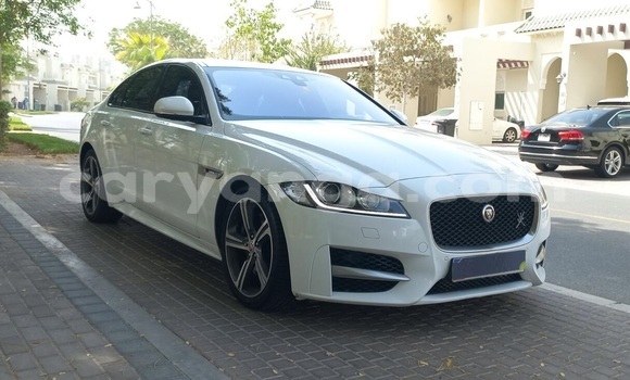 Buy Used Jaguar XF White Car in Lilongwe in Malawi Buy Used Jaguar XF White Car in Lilongwe in Malawi