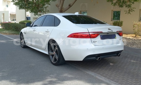 Buy Used Jaguar XF White Car in Lilongwe in Malawi Buy Used Jaguar XF White Car in Lilongwe in Malawi