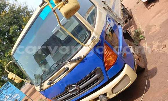 Buy Used Hino 300 Series Blue Truck in Lilongwe in Malawi