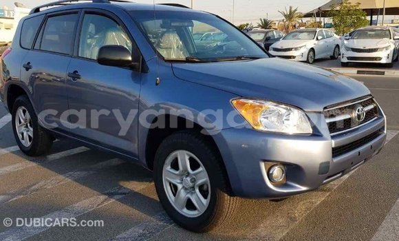 Buy Import Toyota RAV4 Blue Car in Import - Dubai in Malawi Buy Import Toyota RAV4 Blue Car in Import - Dubai in Malawi
