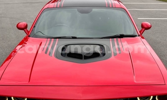 Buy Used Dodge Challenger Red Car in Lilongwe in Malawi Buy Used Dodge Challenger Red Car in Lilongwe in Malawi