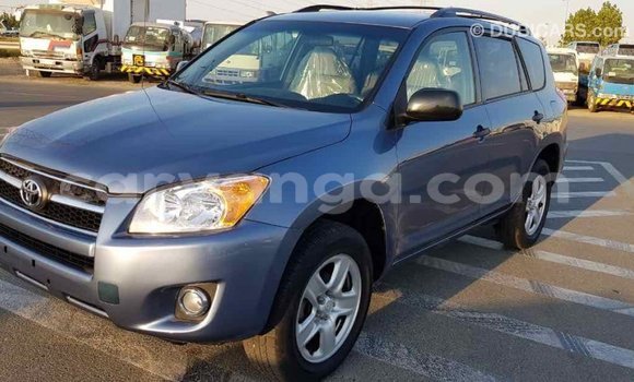 Buy Import Toyota RAV4 Blue Car in Import - Dubai in Malawi Buy Import Toyota RAV4 Blue Car in Import - Dubai in Malawi