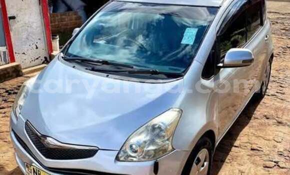 Buy Used Toyota Ractis Other Car in Blantyre in Malawi Buy Used Toyota Ractis Other Car in Blantyre in Malawi